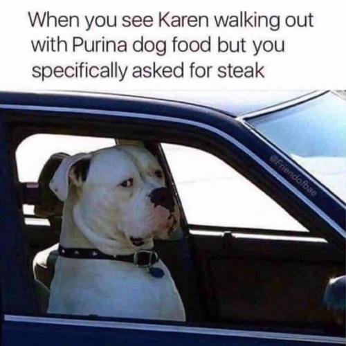 you-see-karen-walking-out-with-purina-dog-food-but-you-specifically-asked-for-steak-ofriendofbae