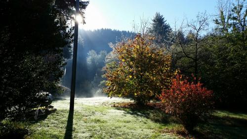 20171028_095735_resized_1