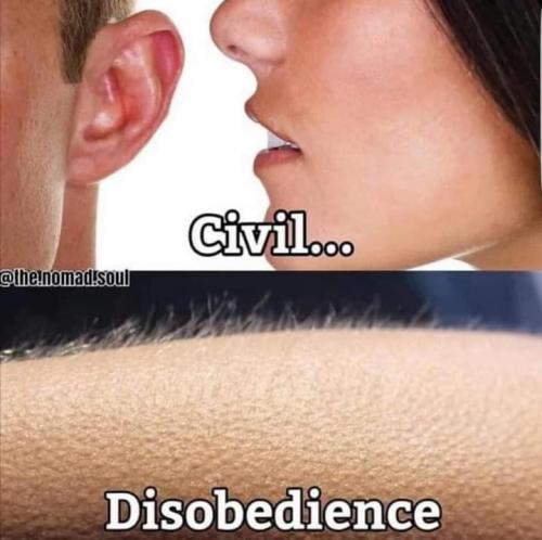 FB_IMG_1600744980418