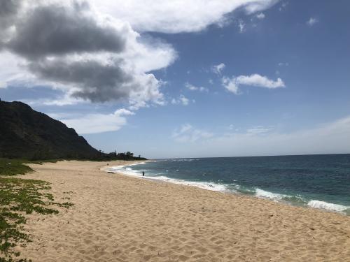 0110ec1e5cb2b3e26ddd003dcc64d3692377174011