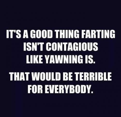 FB_IMG_1597490906107