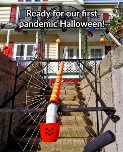 202009090823-RErHJOO5Nq