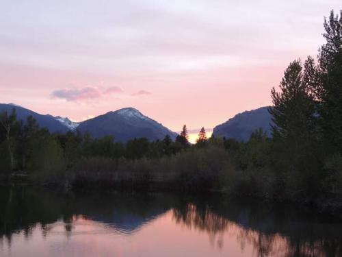 FB_IMG_1599426446454