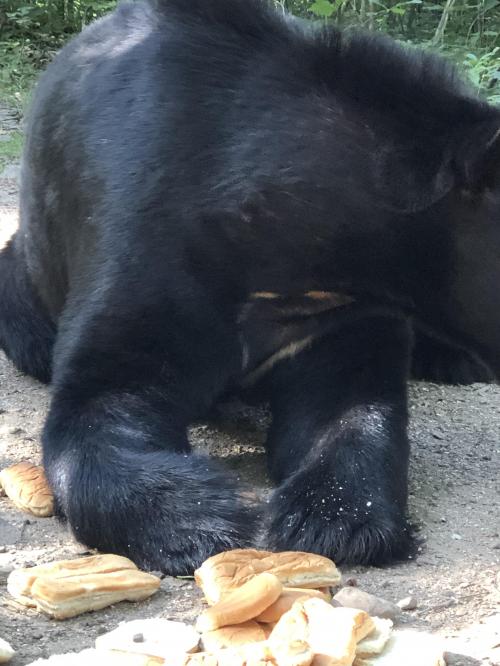 491853D7-E18F-4987-B3DD-5335436B6B03