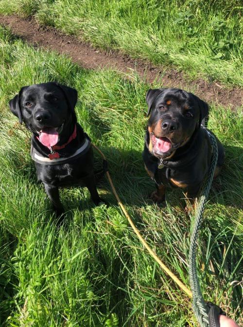 received_3154547824664133