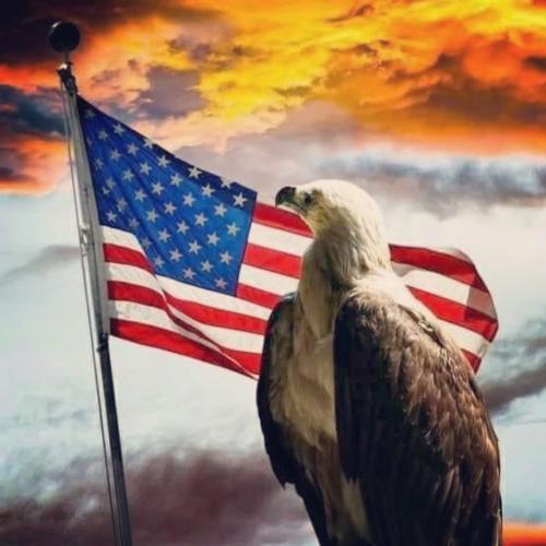 B75514D3-C0C6-4D76-BE10-192BFB611485