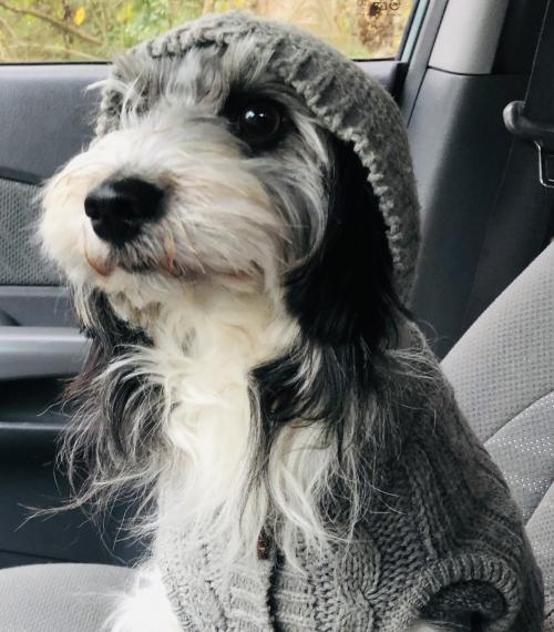 1CD6608D-8332-4302-B0CC-115547ECDA7E