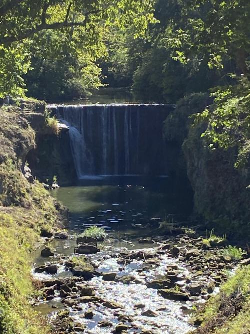 0C8E89A7-87A2-4FF5-BA21-73E44A8D947E