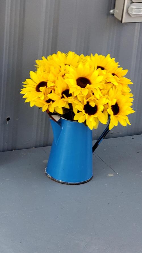 inbound6676130783210670880