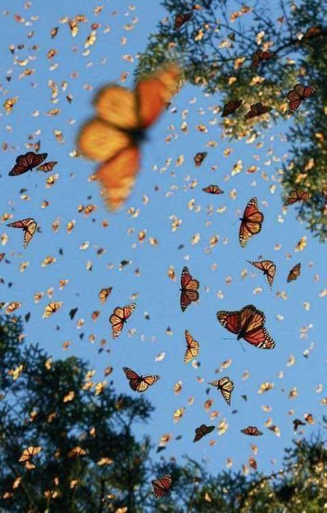 7178DDA2-B354-40D8-8220-F3A709EA6E16