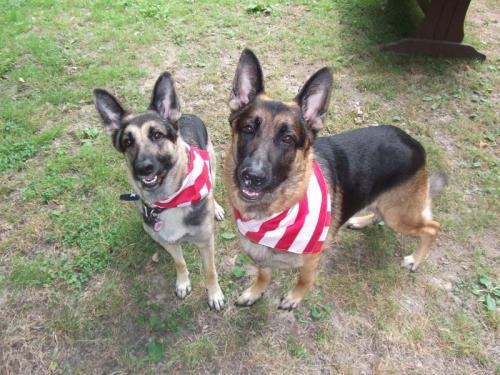 5b3cced87601d_800x600