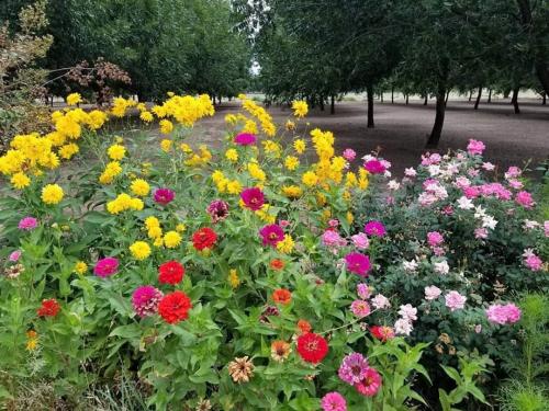 FB_IMG_1601029111651