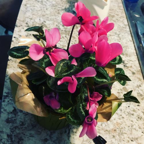 A2426594-51D7-4453-BEEA-5763228ABE26