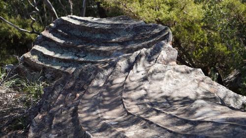 SCREENSAVER SunBow took pic of light gray lava rock w swirls and shadows. Want to use this as a Screensaver somehow.