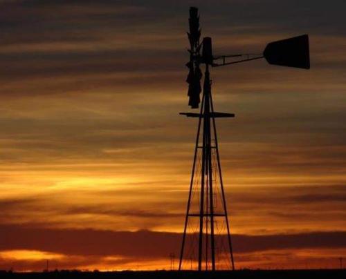 FB_IMG_1581882942203