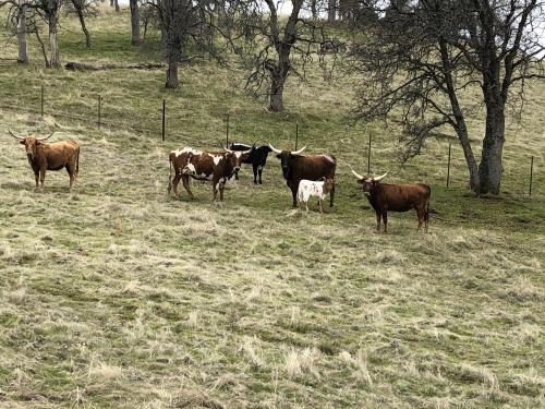 QRtrPRkrTYejeyQ79yVHqg