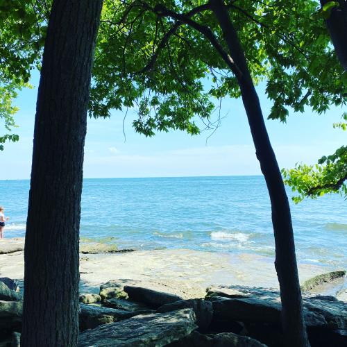 15900277-C5CB-45B7-B31F-8C006E43EC73