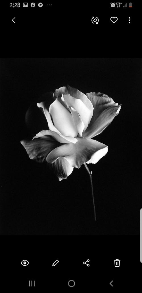 Screenshot_20200905-142835_Gallery