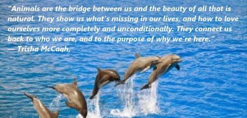 13413639_10154272962832628_5096255203774570278_n