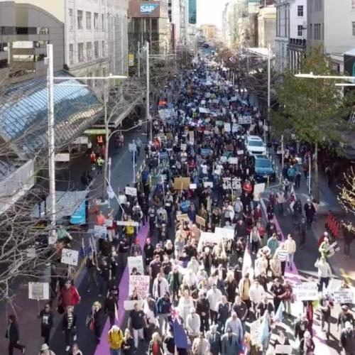 FB_IMG_1600049227891