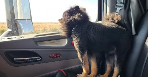 IMG_20200925_190428_925