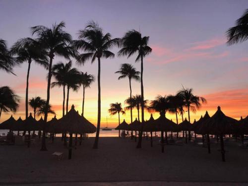 70018709_10216044816296077_6744864118206889984_n