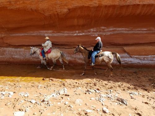 72349_1161693567195041_3811098503310390971_n