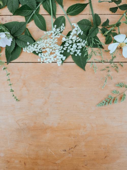 801d5fd2-c0cd-49e9-8413-77e24b92d009