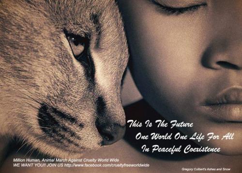 423500_3118425072229_488252515_n