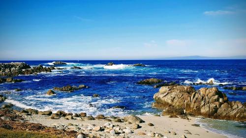 47688734_562820530812158_2580671493969018880_n