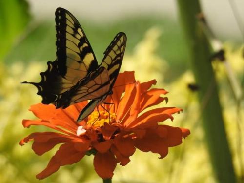 FB_IMG_1598046402065