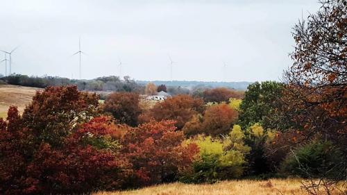 FB_IMG_1598528153791