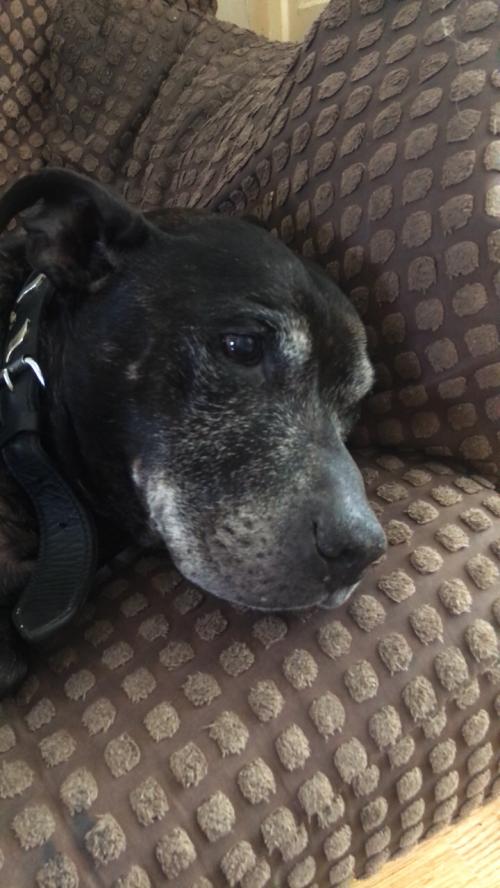 41FE3733-34C2-4524-8B49-2649E4D65EAF