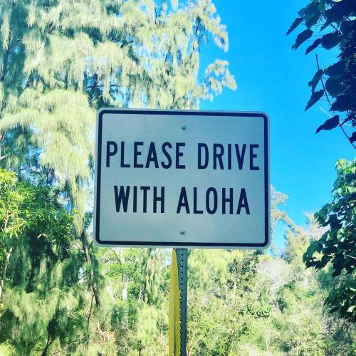 47288205_2256364924648926_7392284853464484210_n