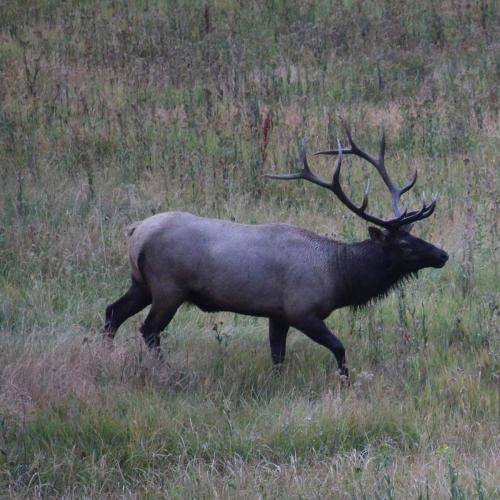 IMG_20190924_155242_538