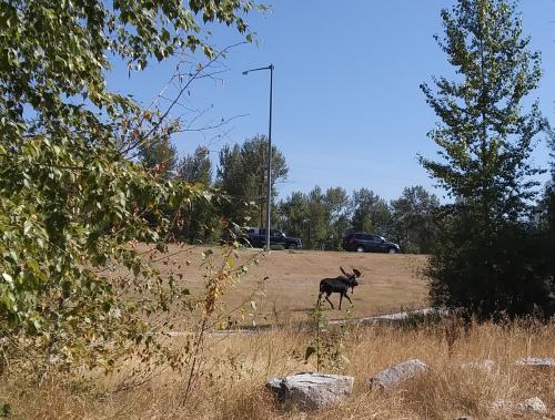 inbound581754841186360650