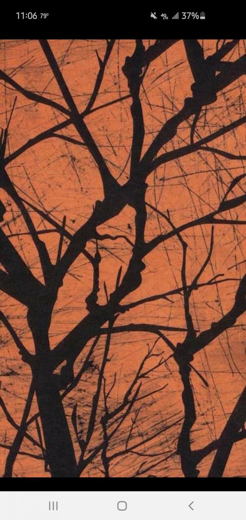 Screenshot_20200906-110631_Facebook