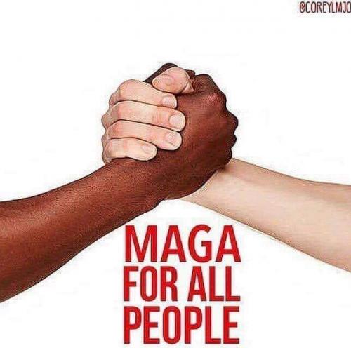 FB_IMG_1599578236489