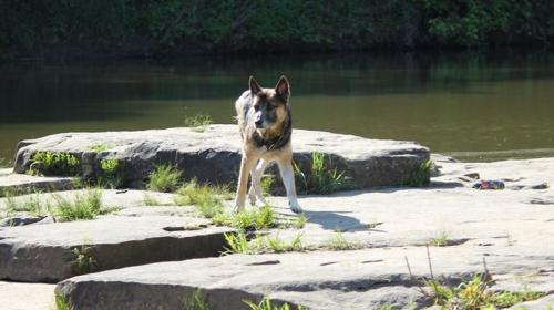 96690572_3360889180589153_1834741850540343296_n