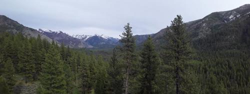 97995777_242647583818418_3029400073508225024_o