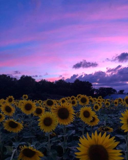 FB_IMG_1597786658095