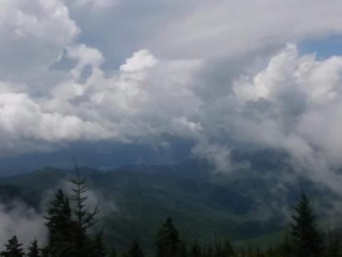 FB_IMG_1592059791347