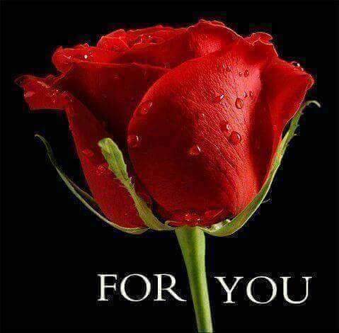 FB_IMG_1486101762748