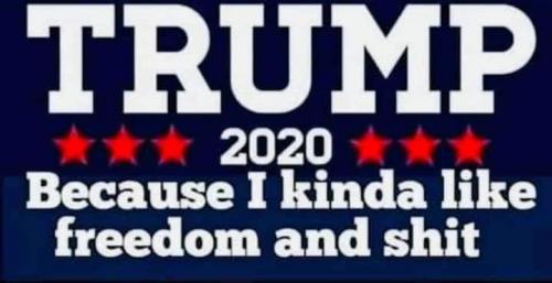 FB_IMG_1598206525428