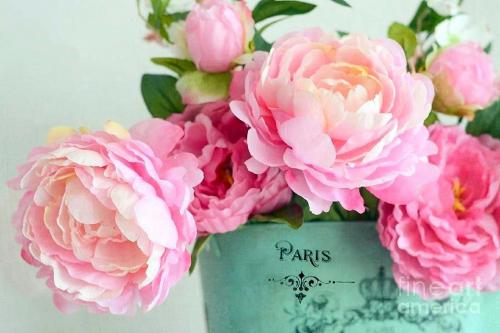 Peonies