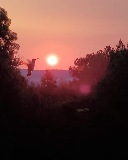 FB_IMG_1599582283419