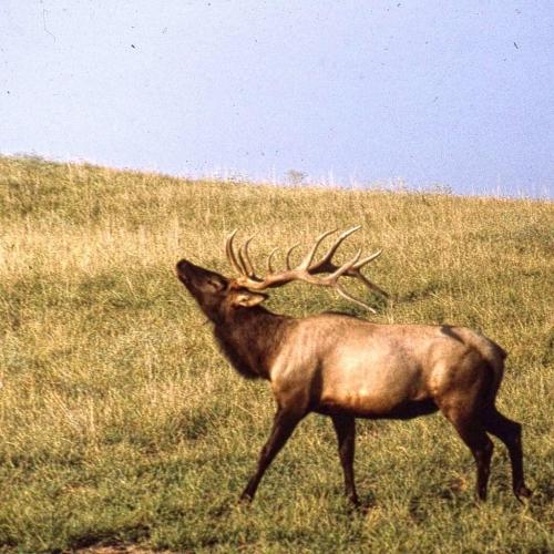 IMG_20190924_155233_341