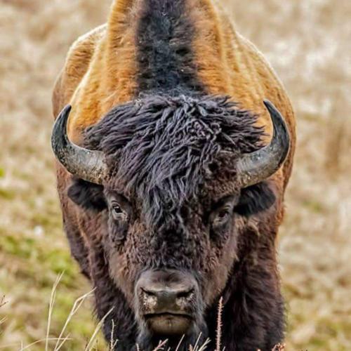 FB_IMG_1579926628817