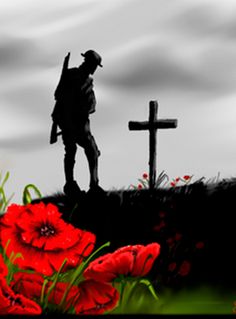 f3c73a538a7a0ee2400cddf1db4d0482--flanders-field-poppy-fields