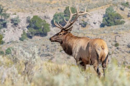 FB_IMG_1569354396463